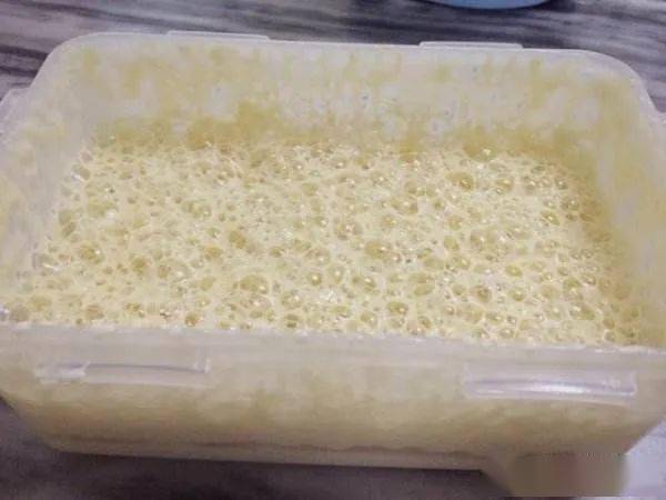 酵母 面团发酵的灵魂 食品加工用酵母与天然酵母 以及野生酵母的区别与用途